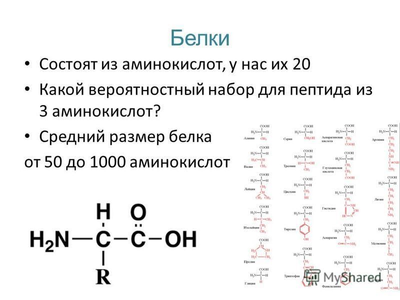 Состав основных аминокислот входят. Белки состоят из аминокислот. Из чего состоят белки. Из чего состоят аминокислоты.