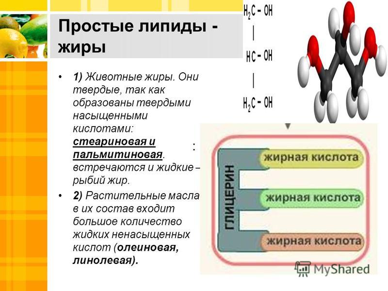 Дайте определение липидов классифицируйте их примеры Липиды биология презентация