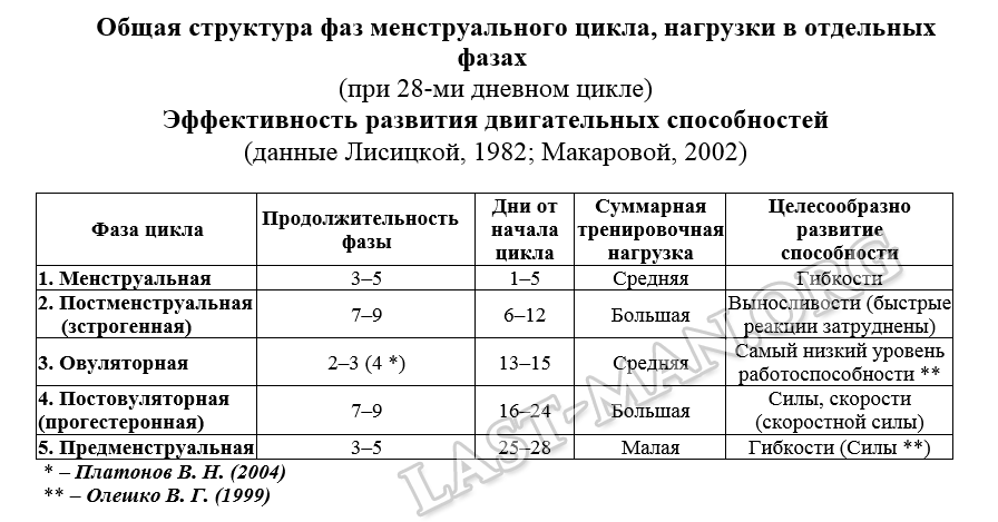 Фазы менструального цикла