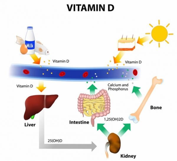 post 5ca4b65610e6b 600x548 - Какие витамины дает солнце