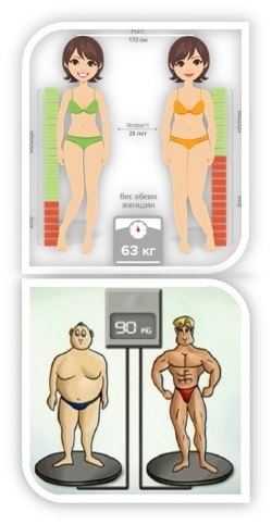 общий вес мышечной массы человека