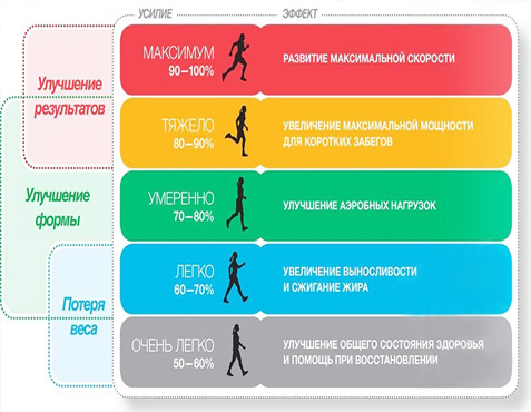 Пульс во время кардиотренировки