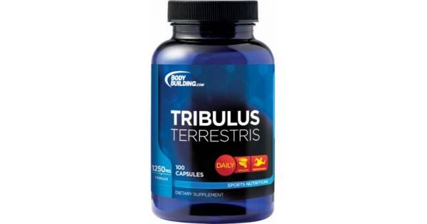 Что такое tribulus terrestris, инструкция и побочные эффекты