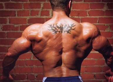 функции широчайшей мышцы спины