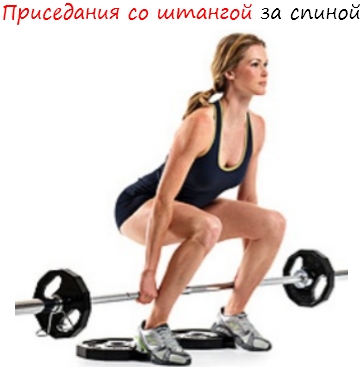 Приседания со штангой за спиной. Изучаем все тонкости и секреты.