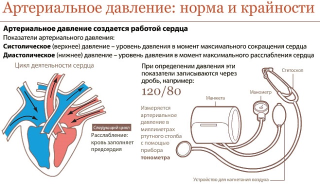 Норма и крайности артериального давления