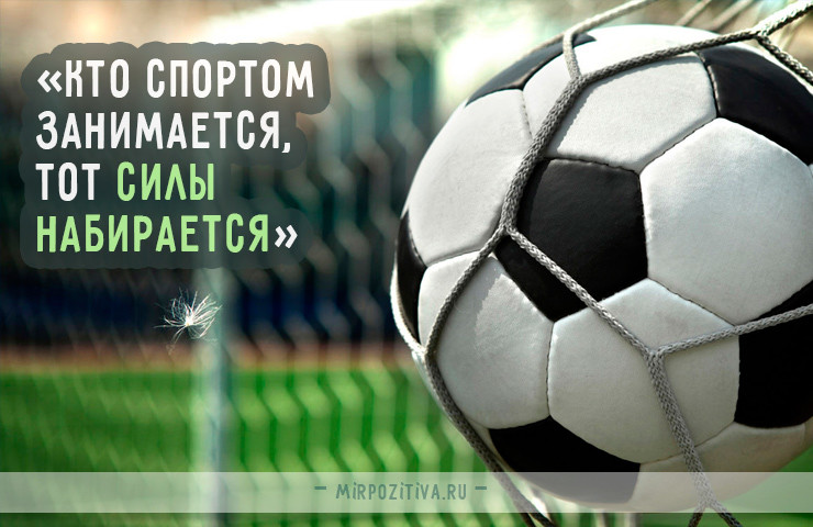 Сильные и мотивирующие спортивные цитаты и афоризмы! Сильные и мотивирующие спортивные цитаты и афоризмы!