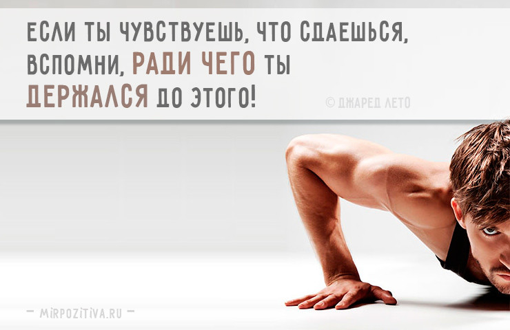Сильные и мотивирующие спортивные цитаты и афоризмы! Сильные и мотивирующие спортивные цитаты и афоризмы!
