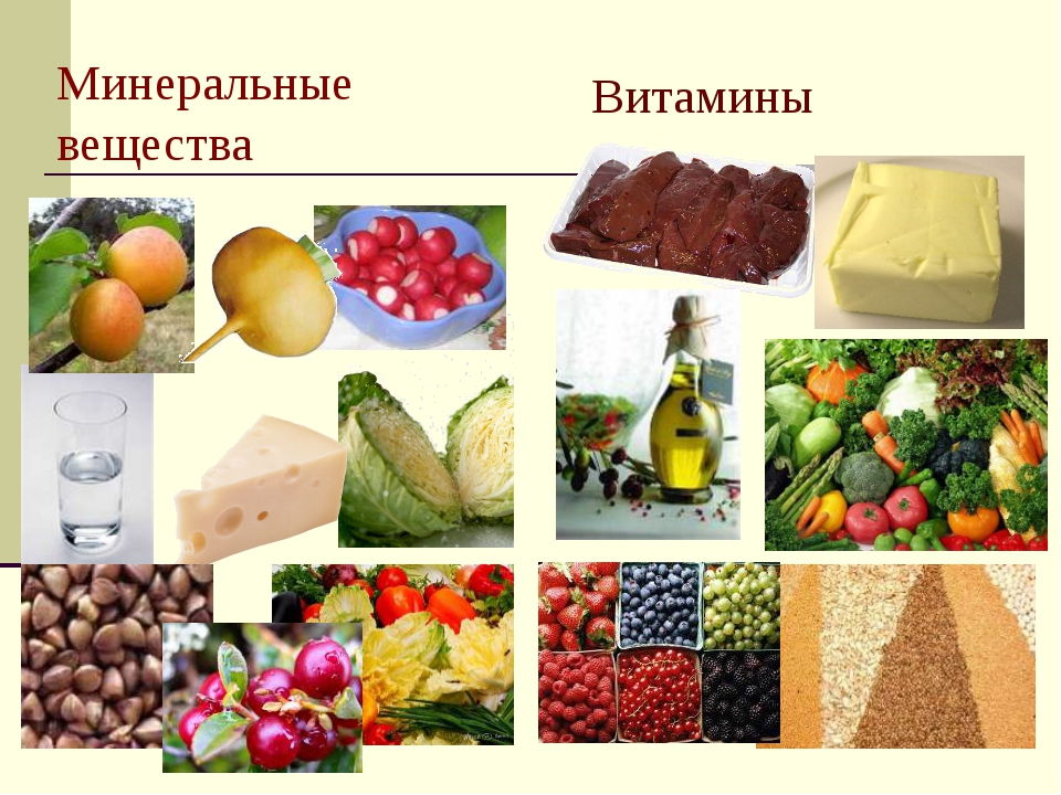 Веществ и микроэлементов в продуктах