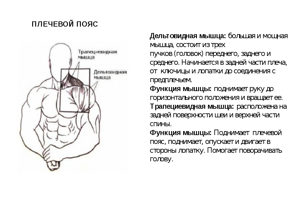 Плечевые где стоят