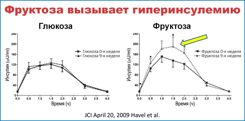 Фруктоза: «всё — яд, всё — лекарство; то и другое определяет доза»