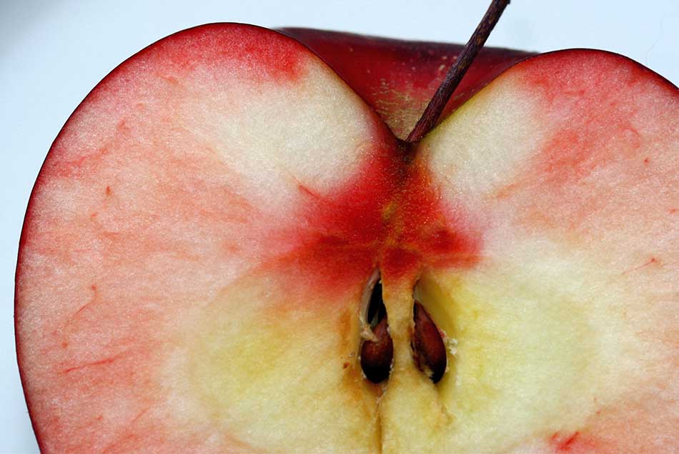 польза и вред яблочных семечек