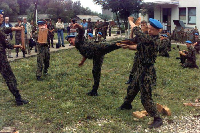 русские боевые искусства