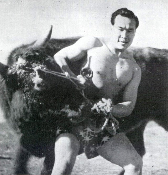 масутацу ояма фотографии