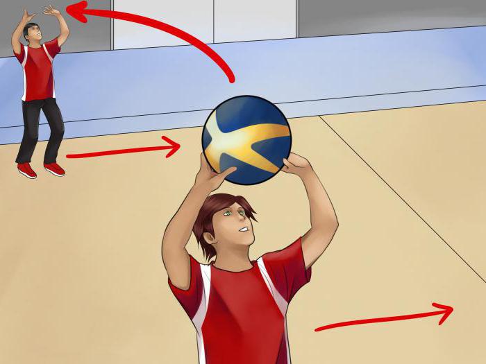тактика игры в волейбол