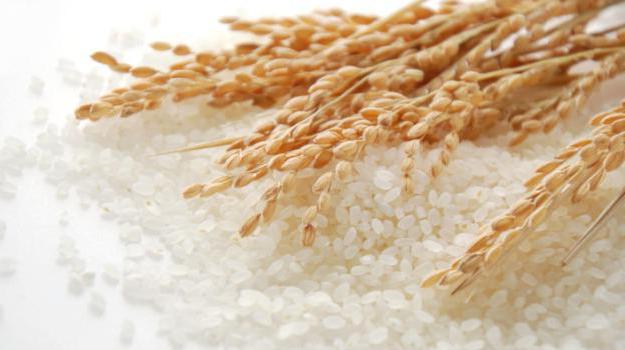 приправы для риса