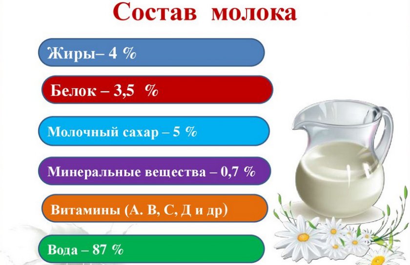 Состав молока