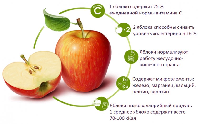 Полезные свойства яблока