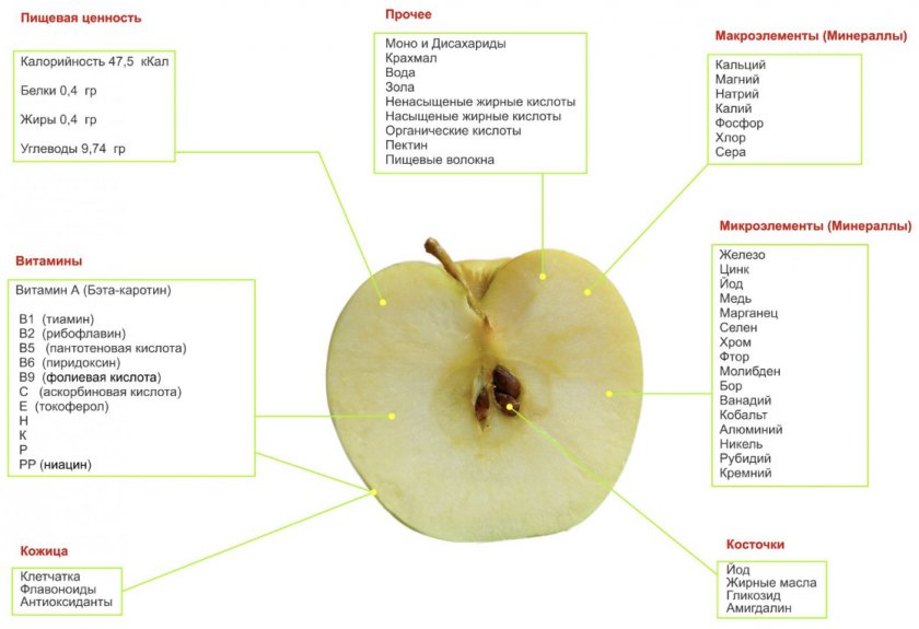 Витаминный и химический состав яблока