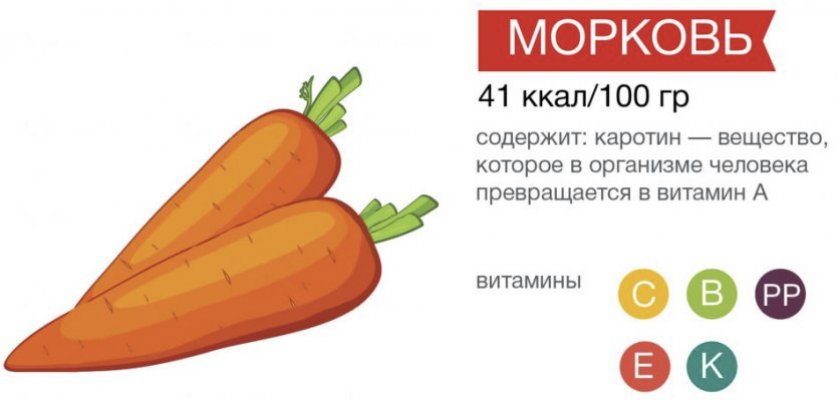 Пищевая ценность моркови