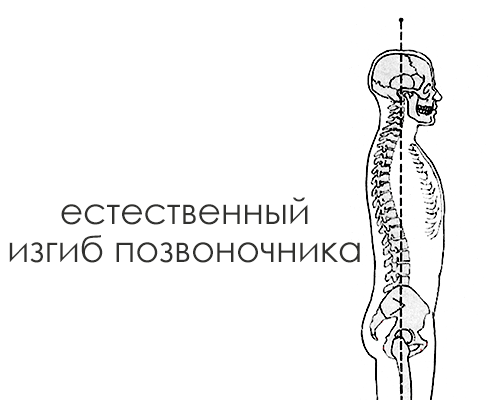 правильные отжимания естественный изгиб позвоночника