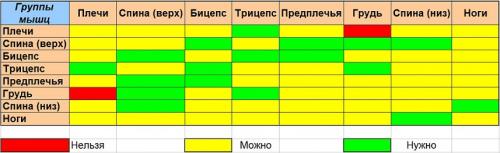 Какие группы мышц лучше совмещать в тренировочный день. Главные правила совмещения