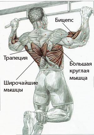 Подтягивание широким хватом Внимание!!!