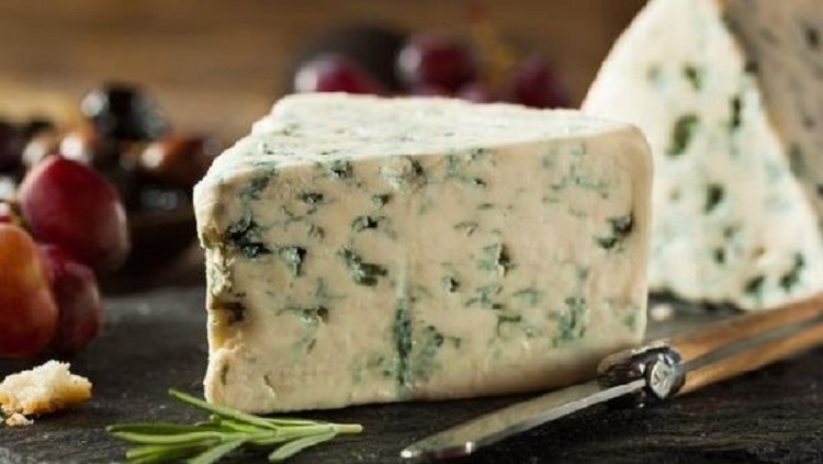 Чем полезен сыр с плесенью — его вкусовые качества и содержание необходимых веществ