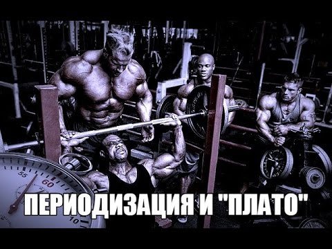 ПЕРИОДИЗАЦИЯ и ПЛАТО,(Застой Результатов) от HeavyMetalGYM