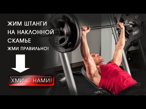 Жим штанги на наклонной скамье 30 градусов