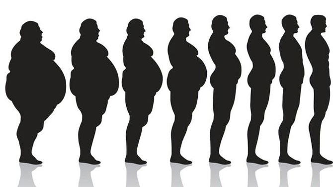 How-Weight-Loss-Works-02