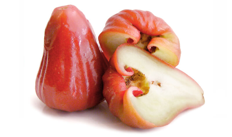 розовое яблоко leto.today Фрукты в Таиланде Фрукты и овощи Таиланда.