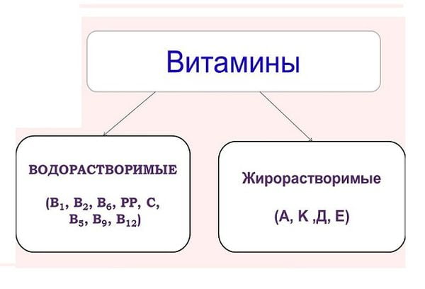 Виды витаминов