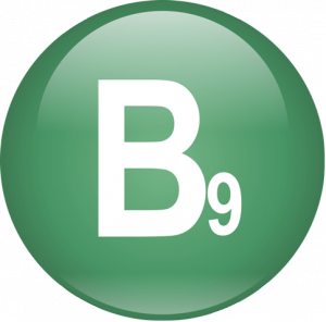 Польза витамина B9