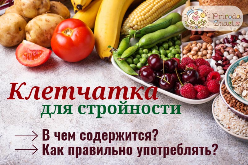Клетчатка в продуктах Клетчатка в продуктах