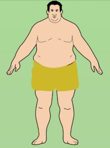 Эндоморф (толстый) тип телосложения