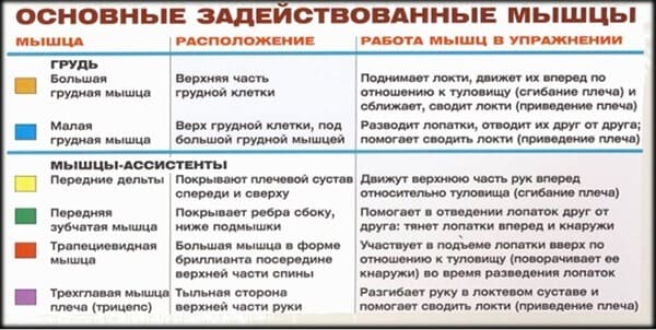 Задействованные мышцы в упражнении для грудных мышц: жим штанги на наклонной скамье вверх