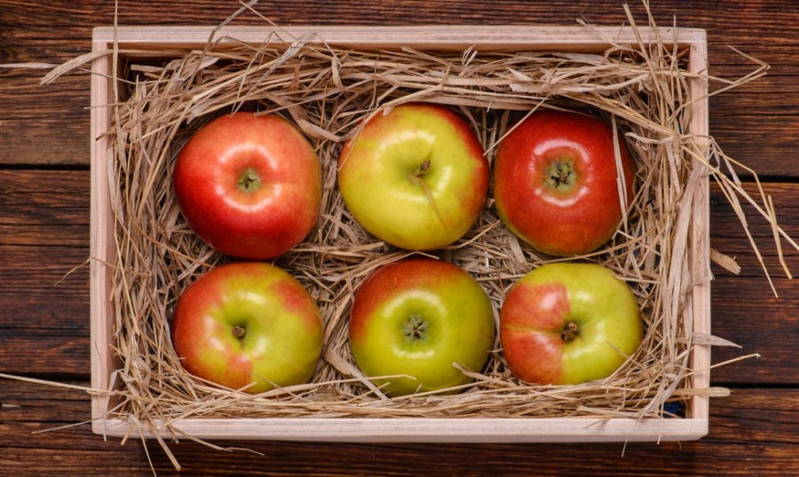 Яблоки в корзине с соломой