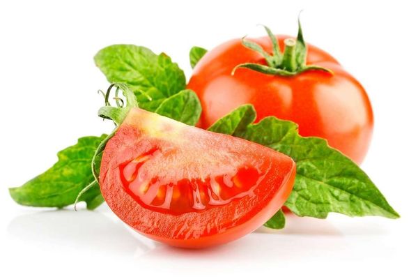польза и вред помидоров для здоровья