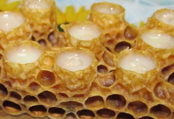 маточное молочко