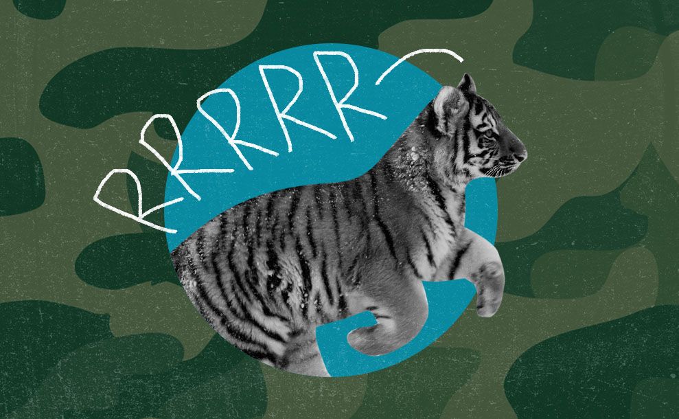 Армейские развлечения — бессмысленные и беспощадные. Что необходимо сделать в игре «охота на тигра»?