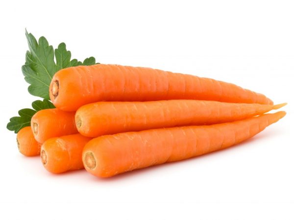 Сколько нужно съесть моркови чтобы стать оранжевым — Сайт о даче