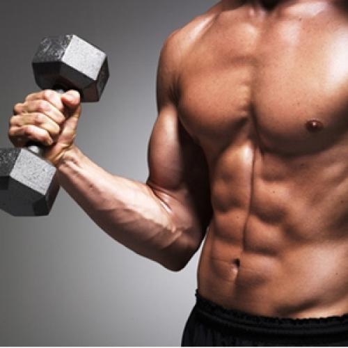 Какие мышцы можно тренировать в один день. Для набора мышечной массы