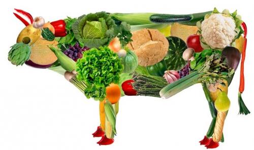 Чем заменить животный белок. Чем заменить мясо в питании при вегетарианстве