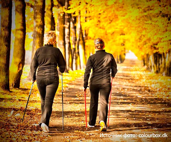 Скандинавская-ходьба для пожилых людей