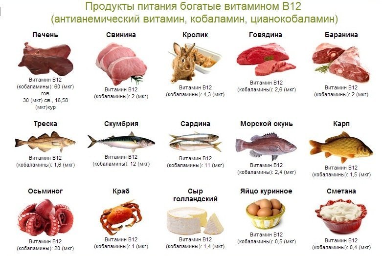 продукты в которых содержится витамин в12