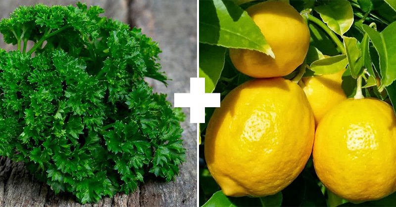 петрушка и лимон