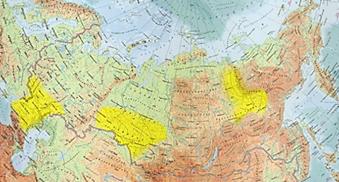 Территории России, покрытые лёсом (показаны желтым цветом)