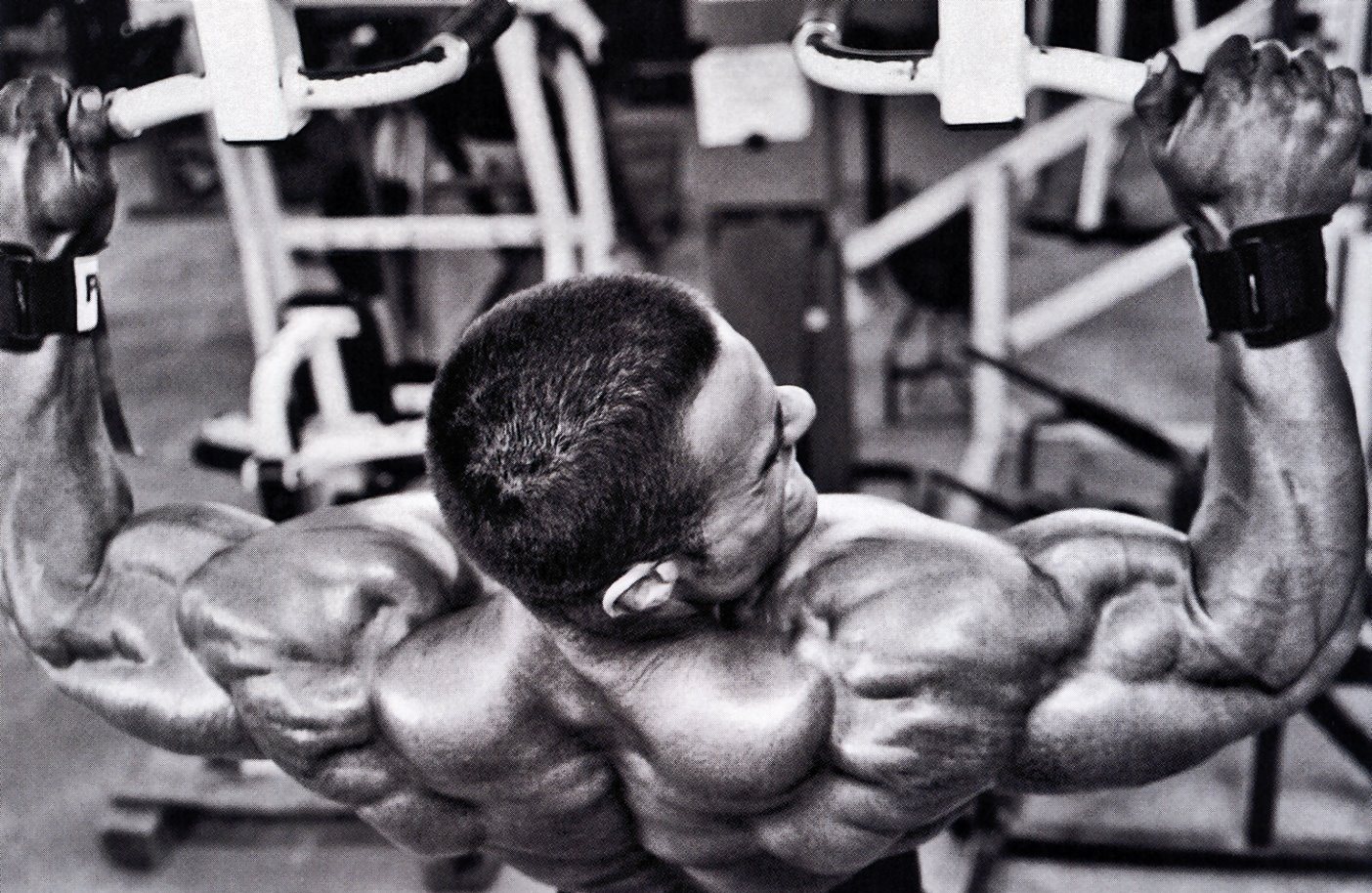bodybuilding shoulders delts