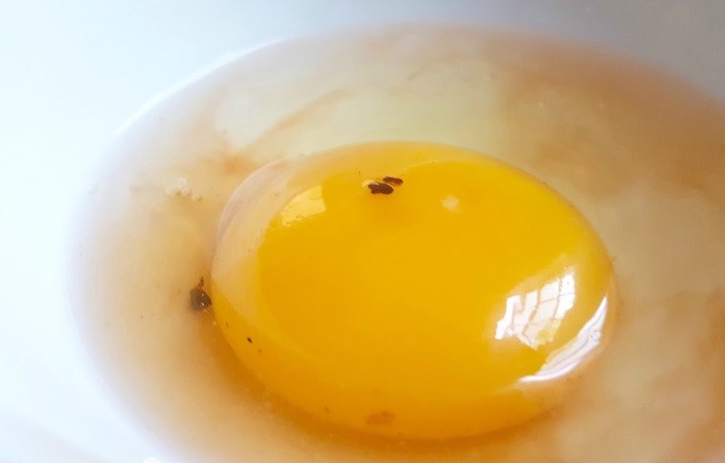 вред куриных яиц